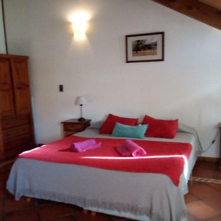 Ferienwohnung Departamento En Apart Pequena Comarca San Martín de los Andes Exterior foto